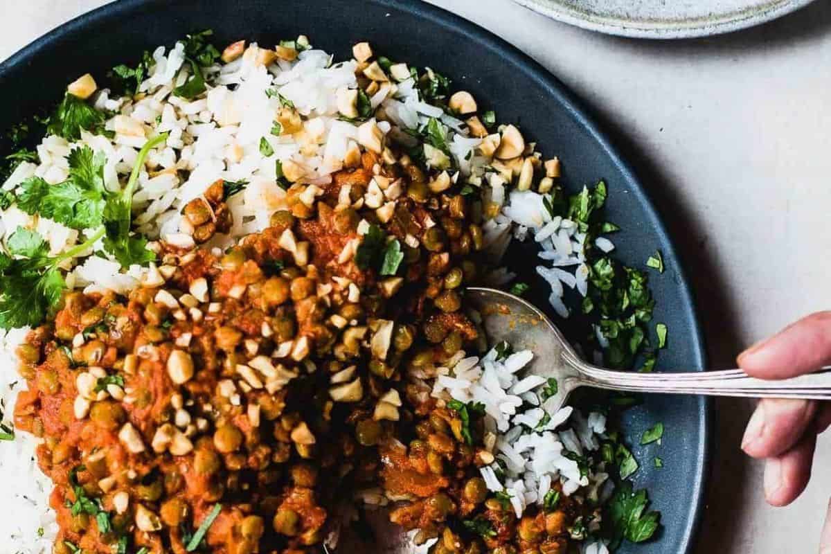 A plate of white rice topped with lentil curry, chopped herbs, and crushed nuts showcases the bold flavors found in must-try Indian recipes, with a spoon scooping up the aromatic dish.