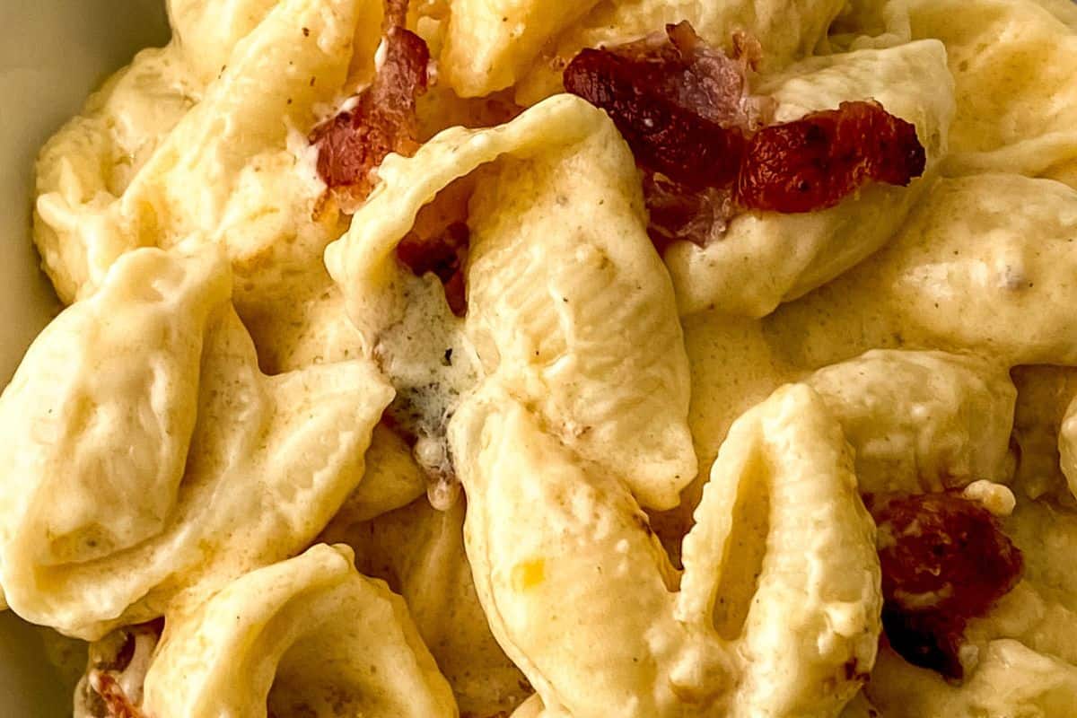 Close-up of creamy bacon mac and cheese made with shell pasta, featuring crispy bacon pieces and a rich, cheesy sauce.