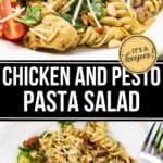 A delicious Chicken and Pesto Pasta Salad featuring rotini, cherry tomatoes, zucchini, red onion, pine nuts, and grated cheese, all tossed together and garnished with fresh basil.