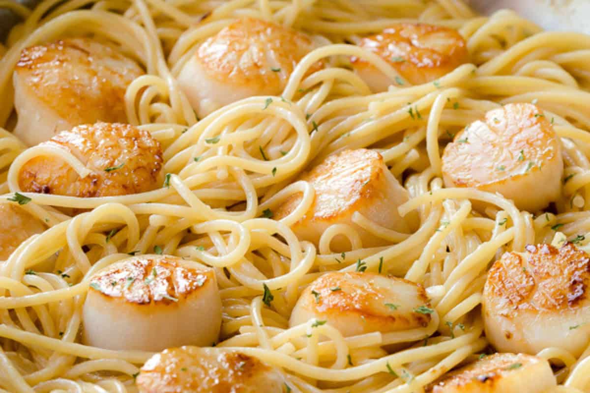 Creamy White Wine Scallops Pasta