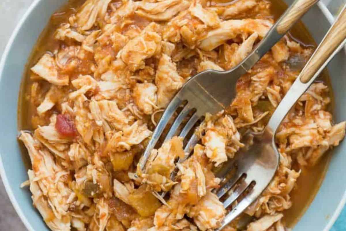A close-up of a bowl of mango salse chicken.