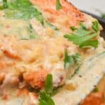 Close-up of a creamy chicken dish with herbs and spinach, featuring a rich sauce reminiscent of Tuscan Salmon flavors, and garnished with fresh parsley.