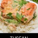 Tuscan Salmon fillet grilled to perfection, topped with creamy spinach sauce, served over a bed of white rice and garnished with fresh parsley.