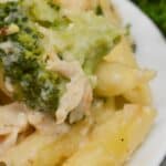 Close-up of Baked Chicken and Broccoli Alfredo pasta with pieces of broccoli and shredded chicken in a creamy sauce on a white plate.