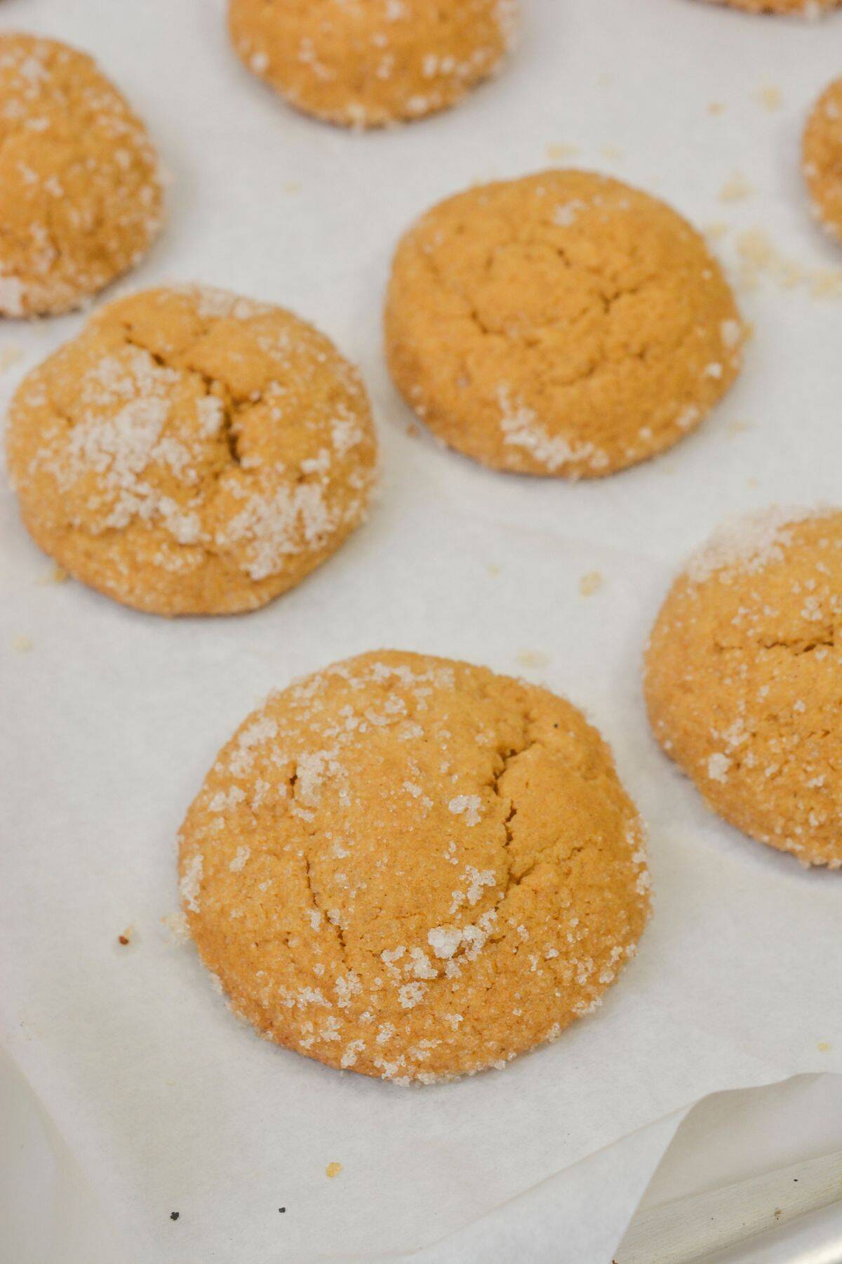 Round treats that are sugar-coated and freshly baked, rest on a sheet of parchment paper with slightly cracked surfaces.