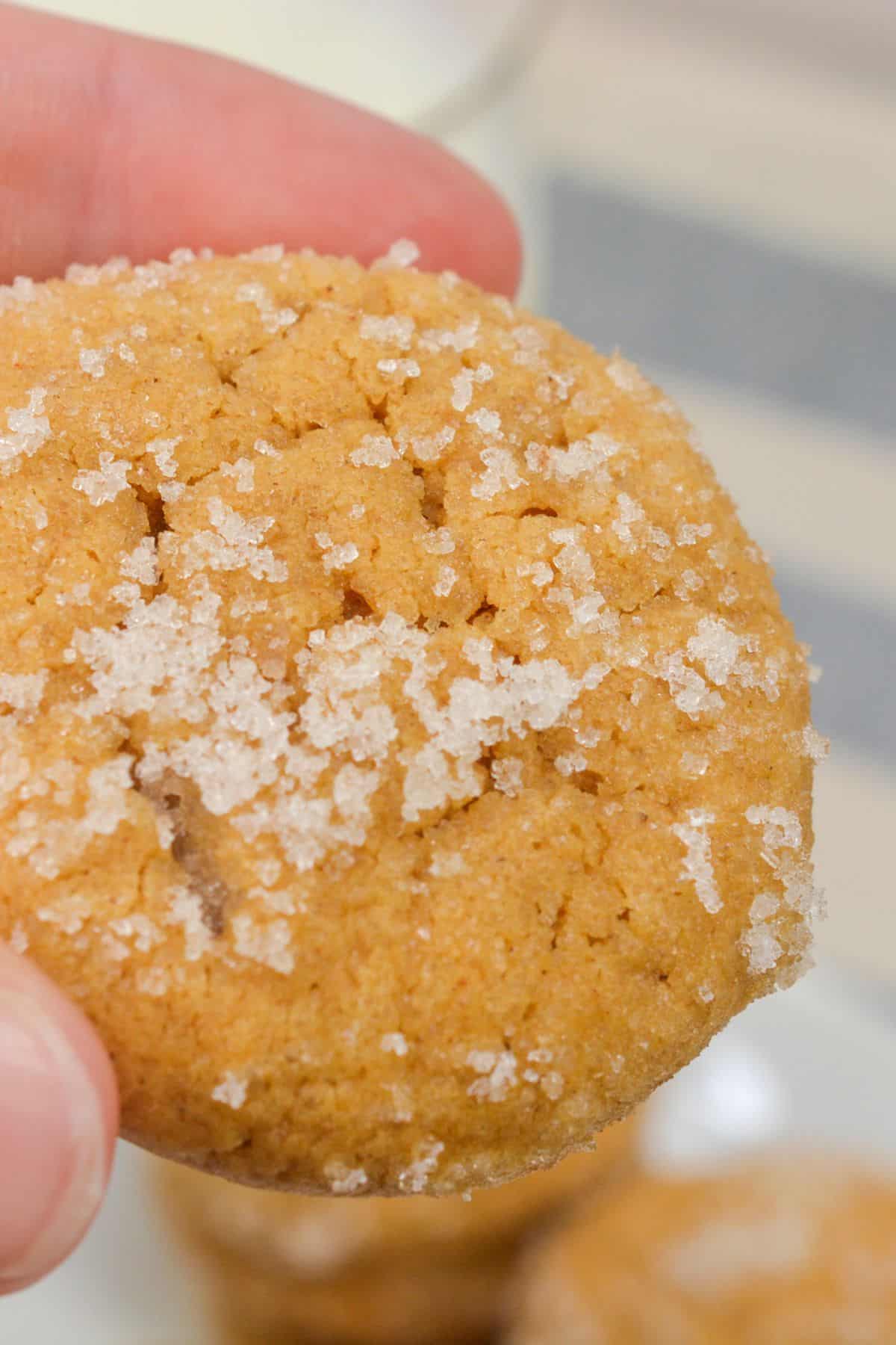 A close-up of a hand holding a sugar-coated Ginger Molasses Cookie, with more cookies blurred in the background.