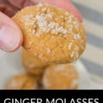 A hand holds a Ginger Molasses Cookie topped with sugar, with more Ginger Molasses Cookies below on a striped surface. Text at the bottom reads "GINGER MOLASSES COOKIES.