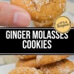 A hand holds a sugar-coated Ginger Molasses Cookie above a plate stacked with more ginger molasses cookies. Text reads "Ginger Molasses Cookies.