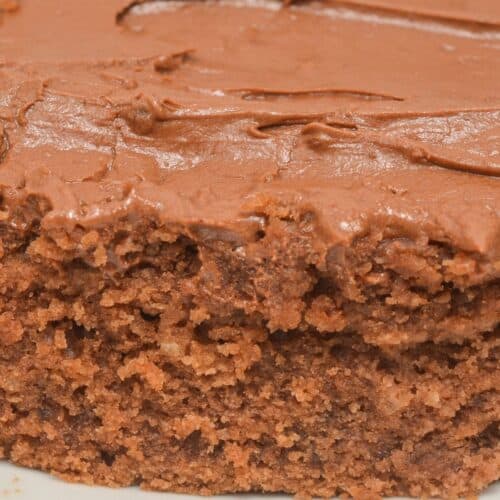 A close-up of a rectangular Cocoa Mayonnaise Cake with rich chocolate frosting, shown on a white plate.