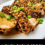 A plate of Crock Pot Pork Roast topped with chopped green onions and a honey garlic glaze, with a bowl of rice in the background.