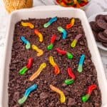 Rectangular dish filled with crumbled Oreo cookies and colorful gummy worms, resembling Oreo Dirt Cake. Oreo cookies and a bowl of gummy worms are on the table nearby.