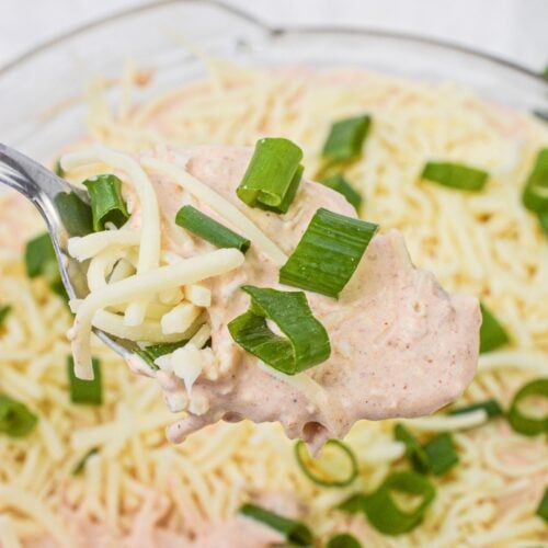 A spoonful of creamy Salsa and Cream Cheese Dip, topped with shredded cheese and chopped green onions, held above a bowl brimming with more of this delicious dip.