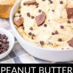 A white bowl filled with creamy Peanut Butter Dip, topped with mini peanut butter cups and chocolate chips, sits on a plaid cloth next to a small bowl of chocolate chips.