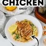 A plate of creamy lemon chicken orzo topped with sliced chicken breast and a lemon slice, with text overlays pointing to the dish.